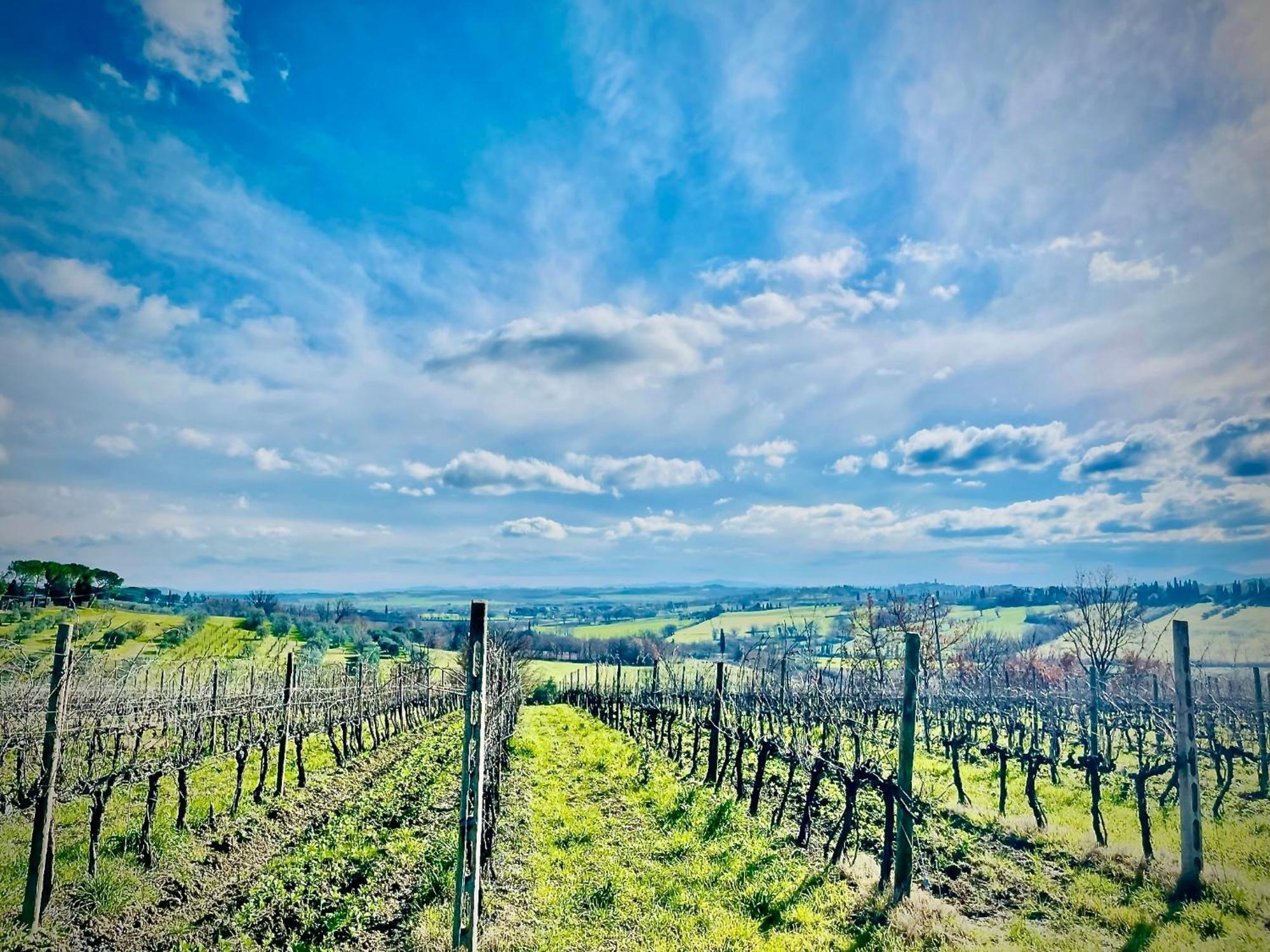 Agriturismo Casaviva Pozzo  Bagian luar foto